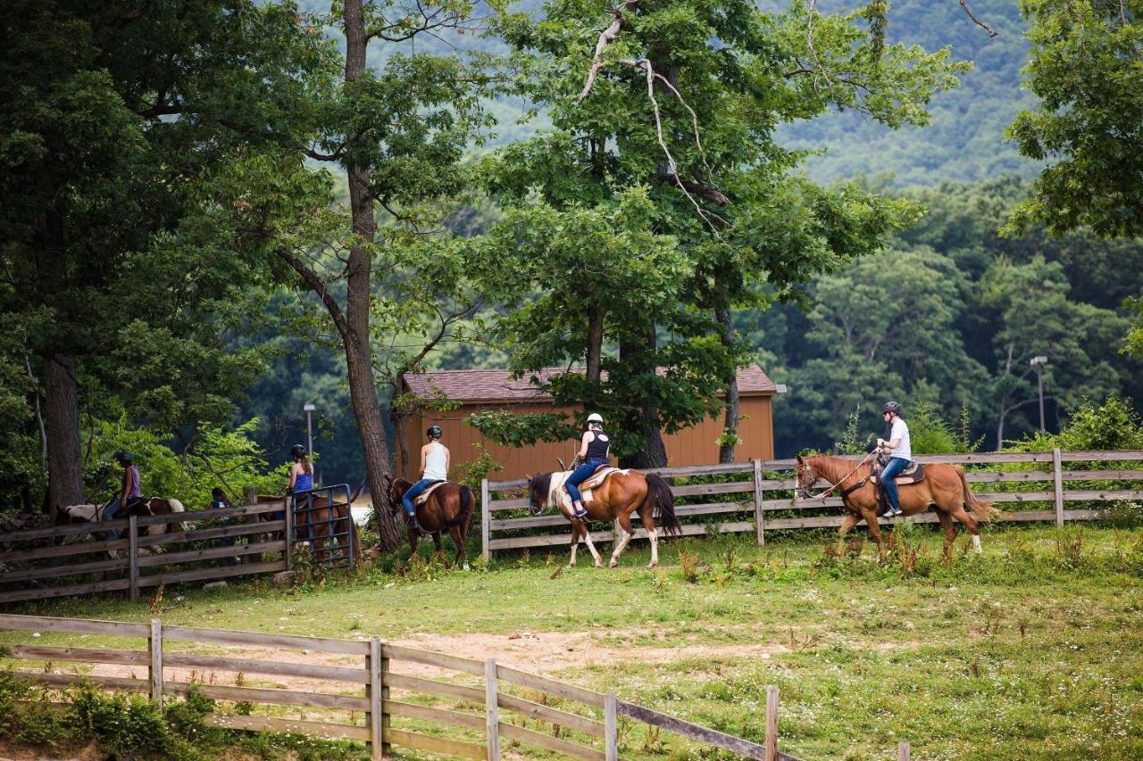 Mountainside Villas At Massanutten By Tripforth McGaheysville エクステリア 写真